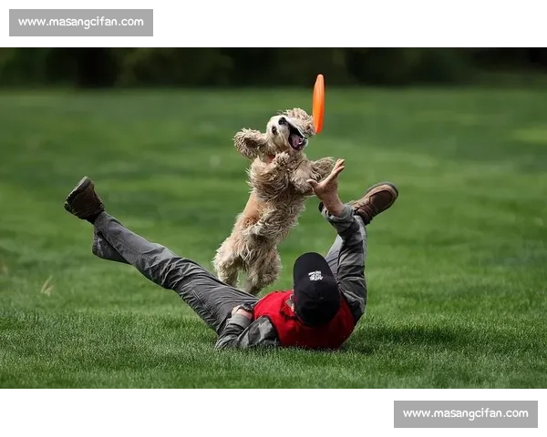 日本顶级钓鱼大赛全程解析技巧与趣味精彩瞬间盘点